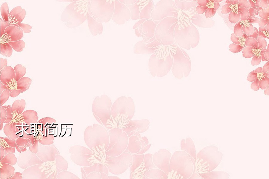 求职简历